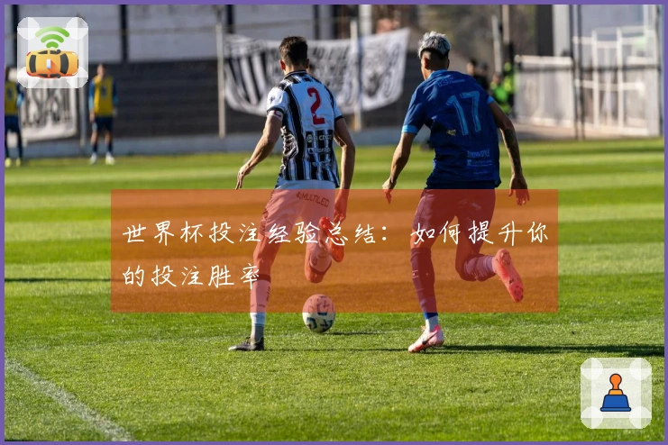 世界杯投注经验总结：如何提升你的投注胜率