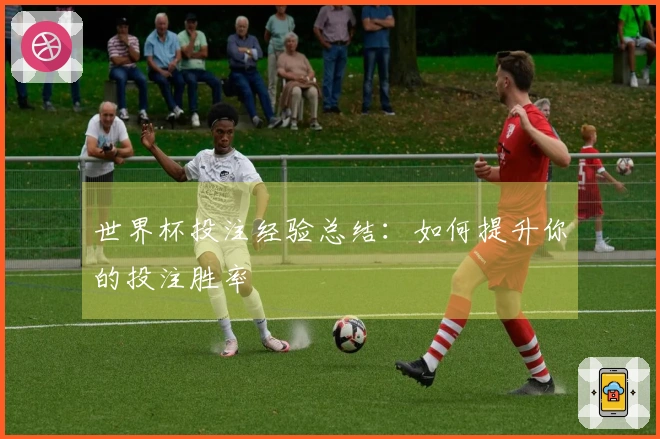 世界杯投注经验总结：如何提升你的投注胜率